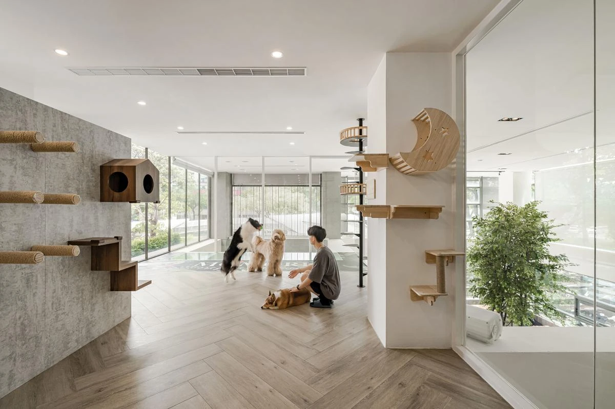 從嘗試了解與相處開始 找尋同頻共處的真摯時刻