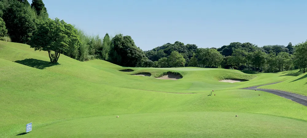 善用自然地形塑造出如 波光粼粼海浪般起伏的球道