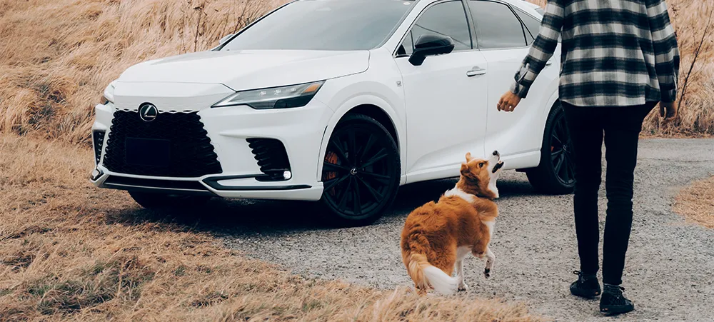 駕駛Lexus，帶毛孩一起出門