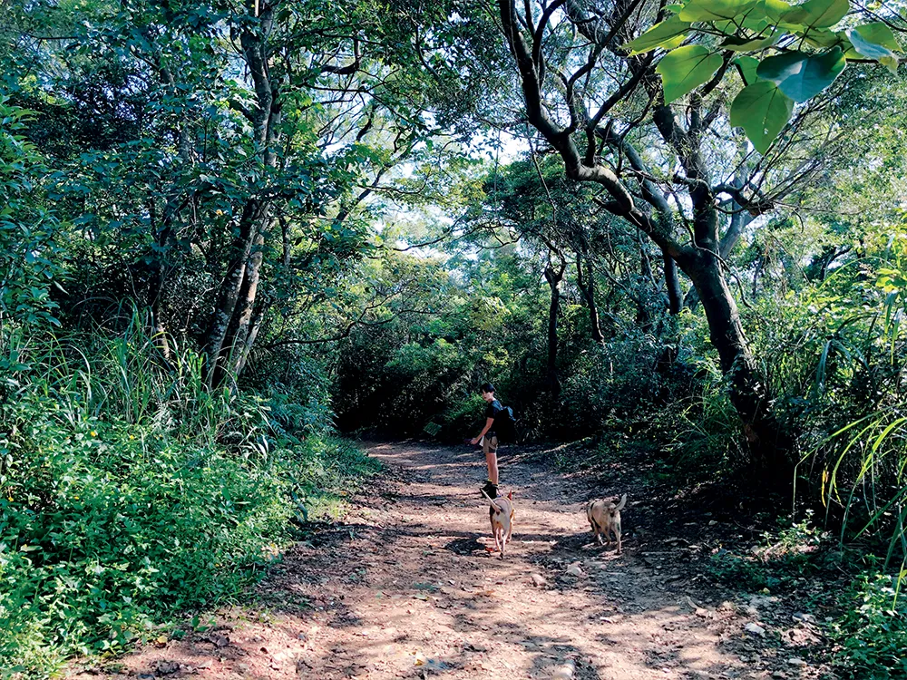 三峽雲森瀑布全程泥地，途中有小溪流經 步道，適合夏日消暑健行