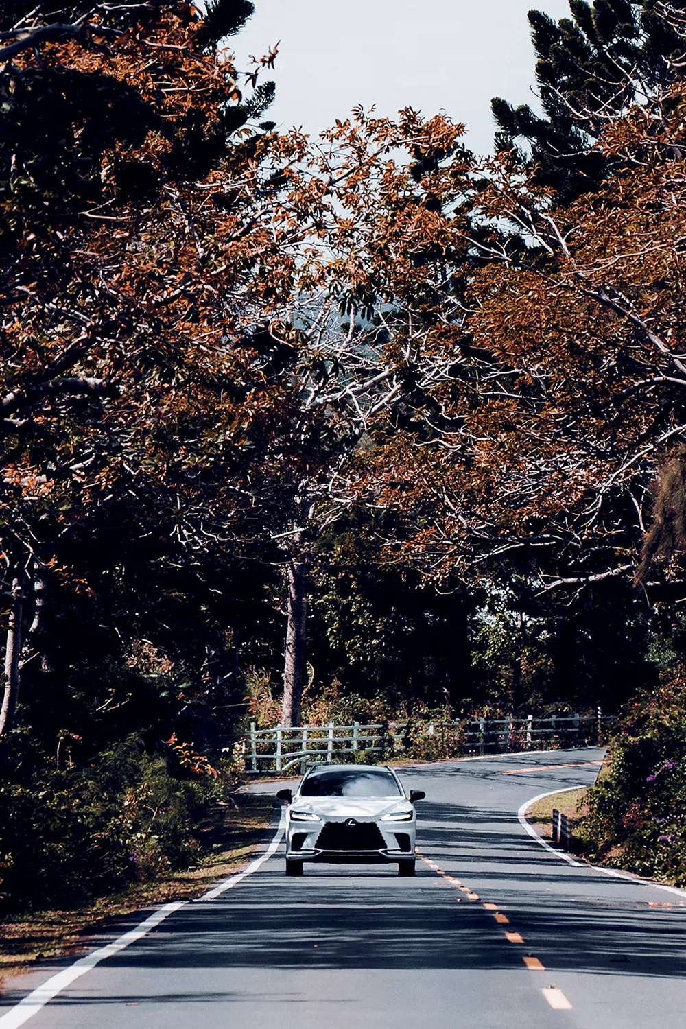 Lexus RX 500h 穿越山林