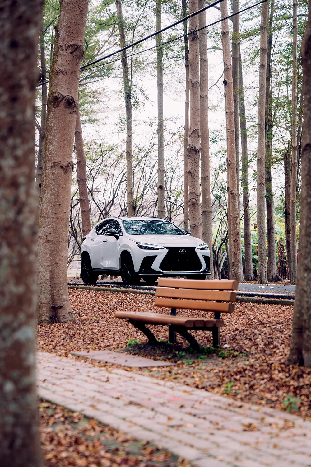 Lexus NX 450h+穿梭山林間