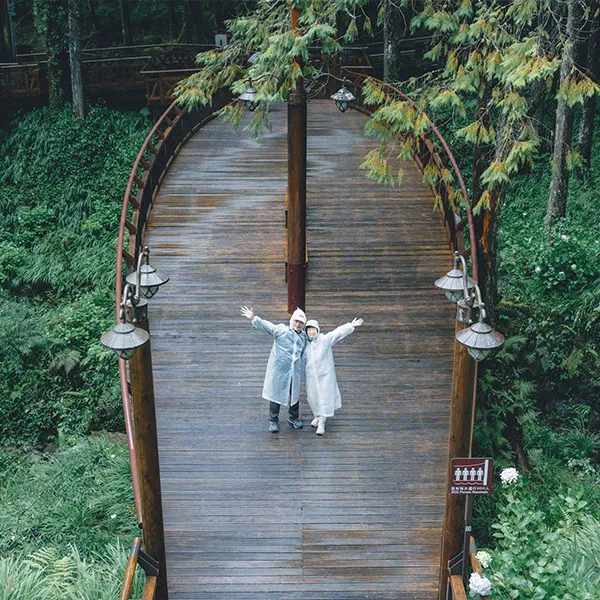 走訪水山療癒步道與神木導覽