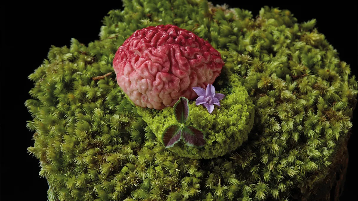 將經典印度菜餚與當代烹飪哲學交融，佐以分子料理技法