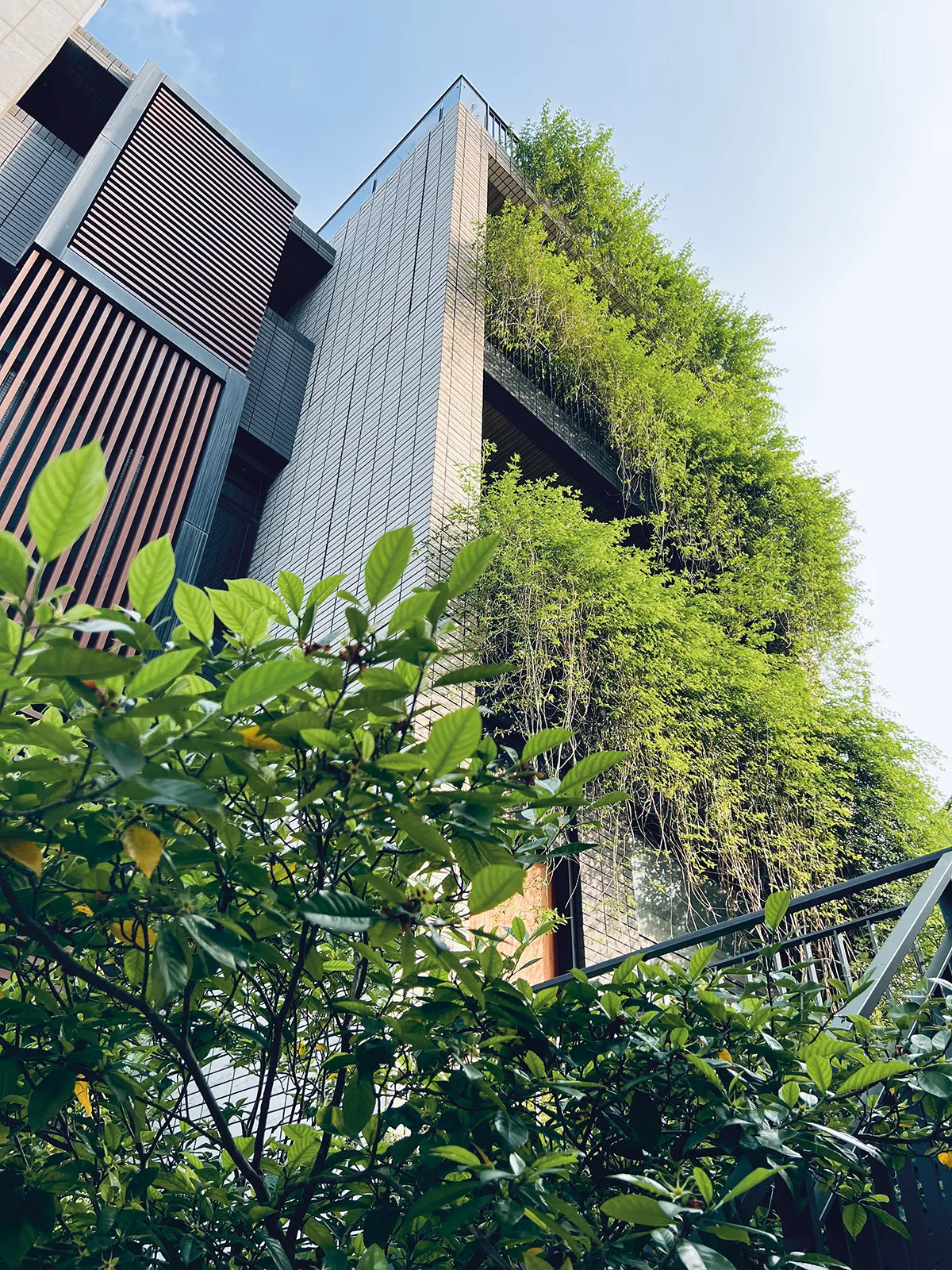 透過高、中、低植物錯落配置，創造視覺層次美感