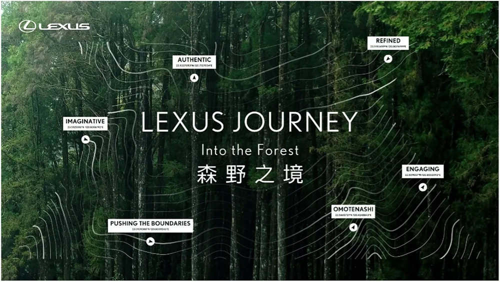 Into the Forest 森野之境