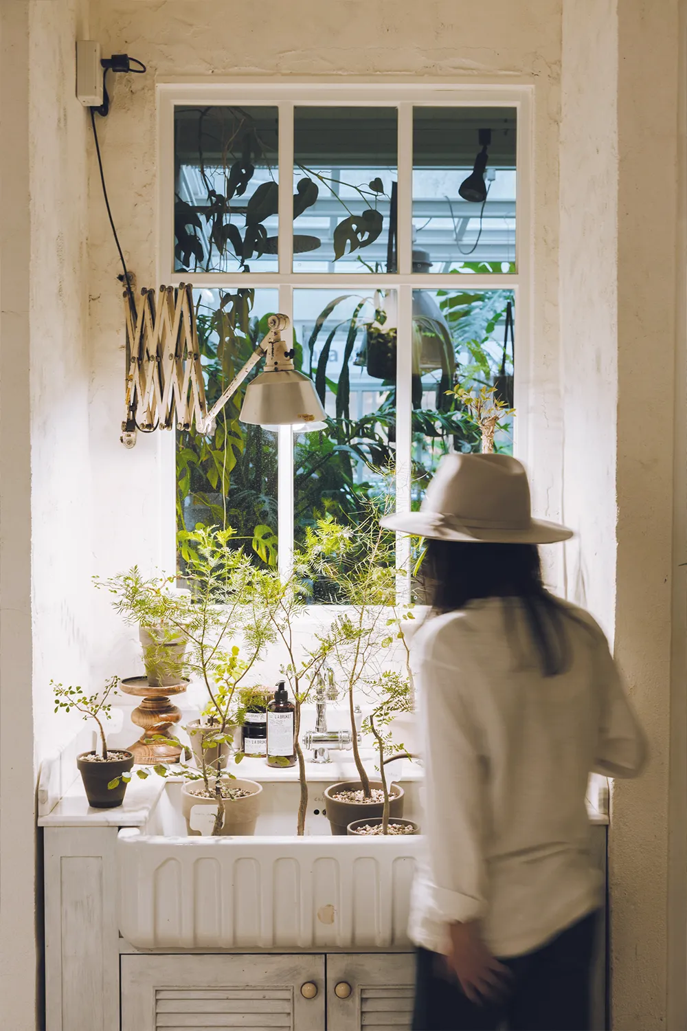 提供室內養植諮詢、德國知名陶盆及為植物配搭盆器等服務