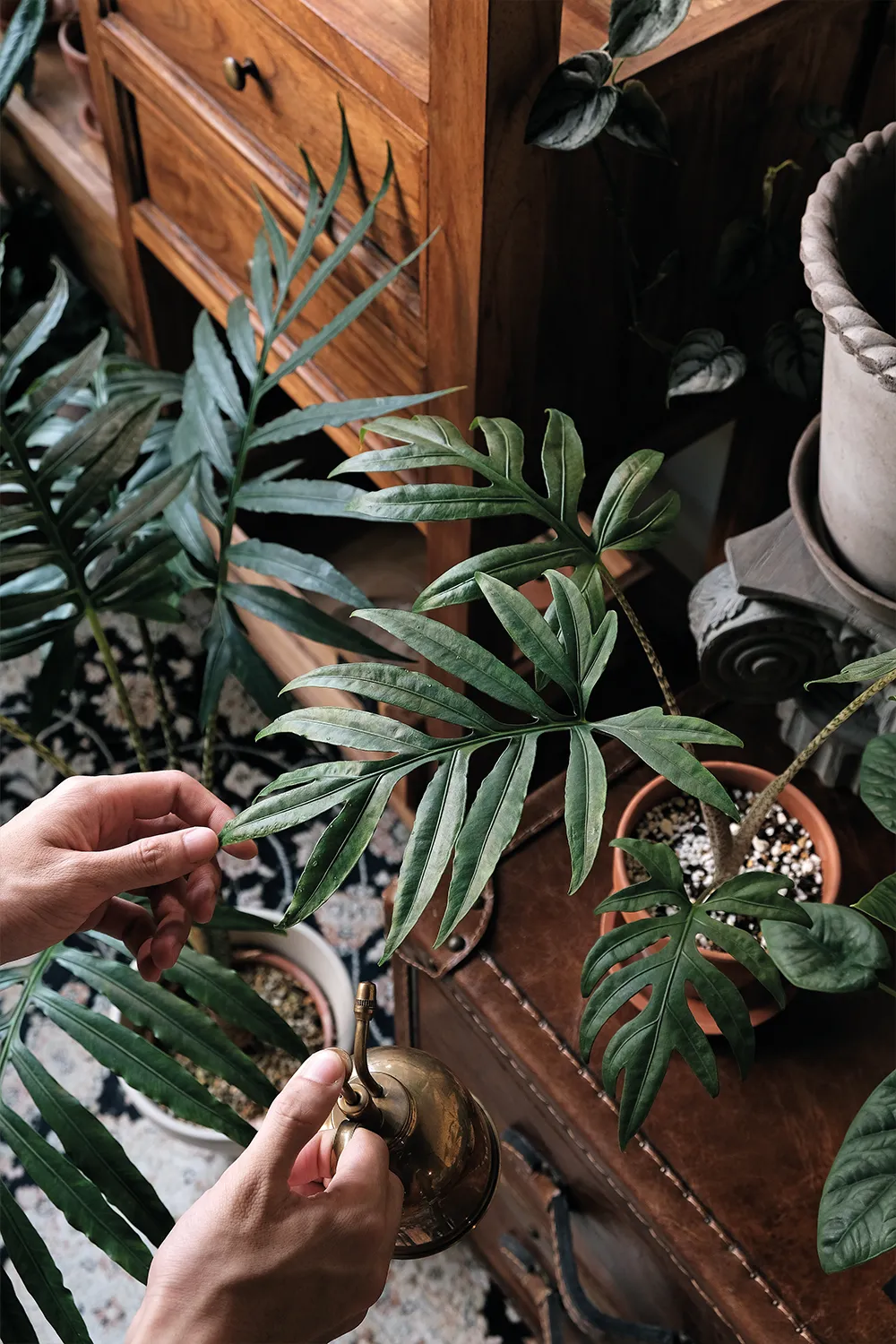 A Life with Plants 植物與生活