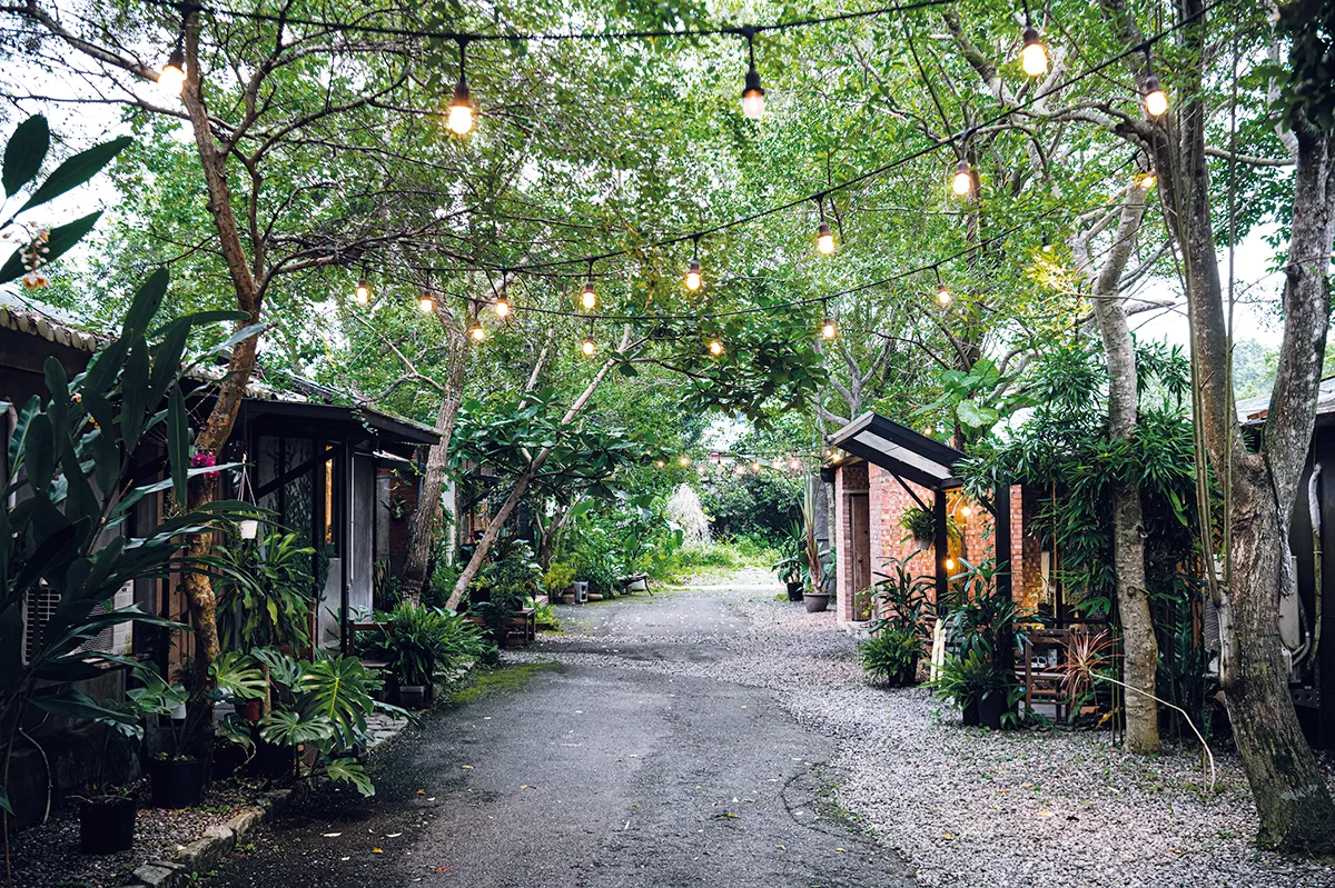 「小雨林」隱匿在鄉間碎石路與矮房邊