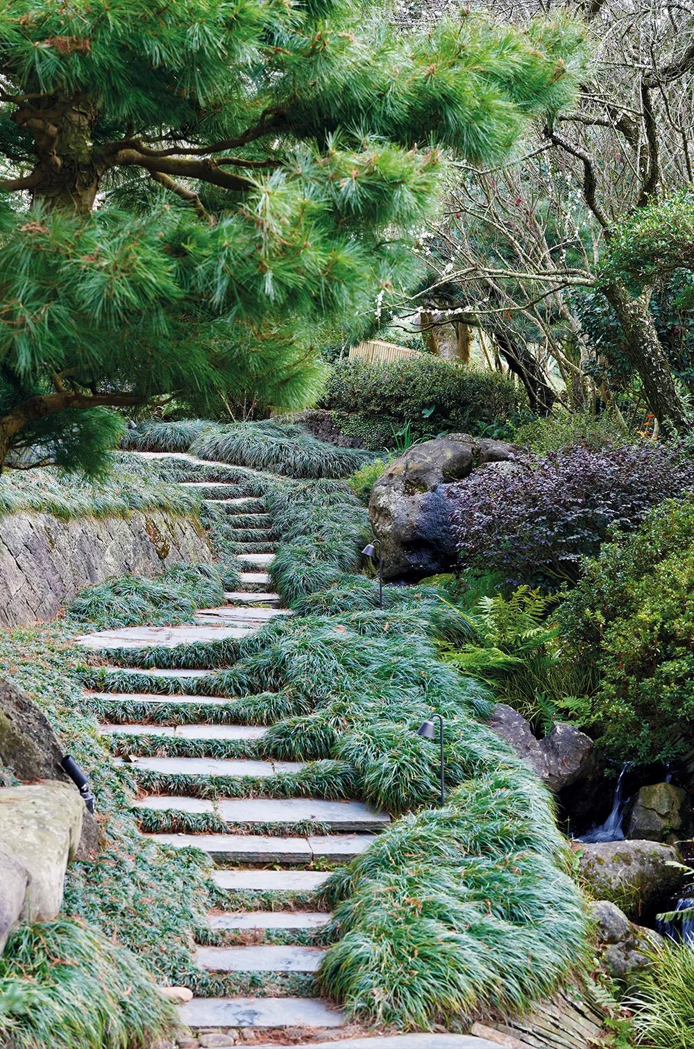 POUYUENJI HILLS ( 寶元紀之丘 ) 茶文化主題園區