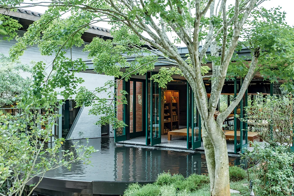 入園兩側可見成排高聳的楓香大道，形成令人讚嘆的主視覺