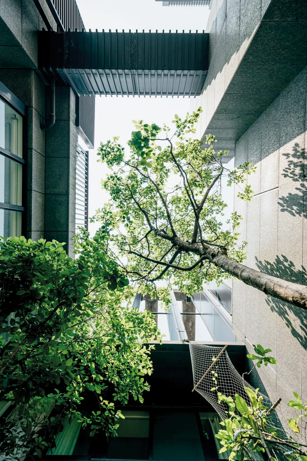 綠意永續風潮席捲全球 植感設計躍居生活主流