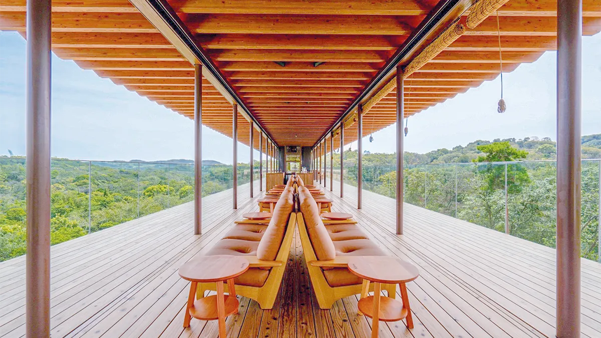 禪之橋環繞蒼翠林海，如置身雲端空境