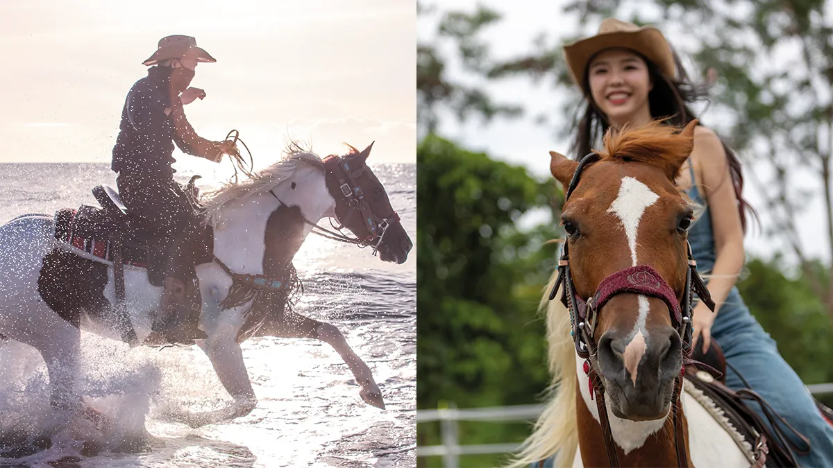 在騎乘中與靈魂最深處的自己對話