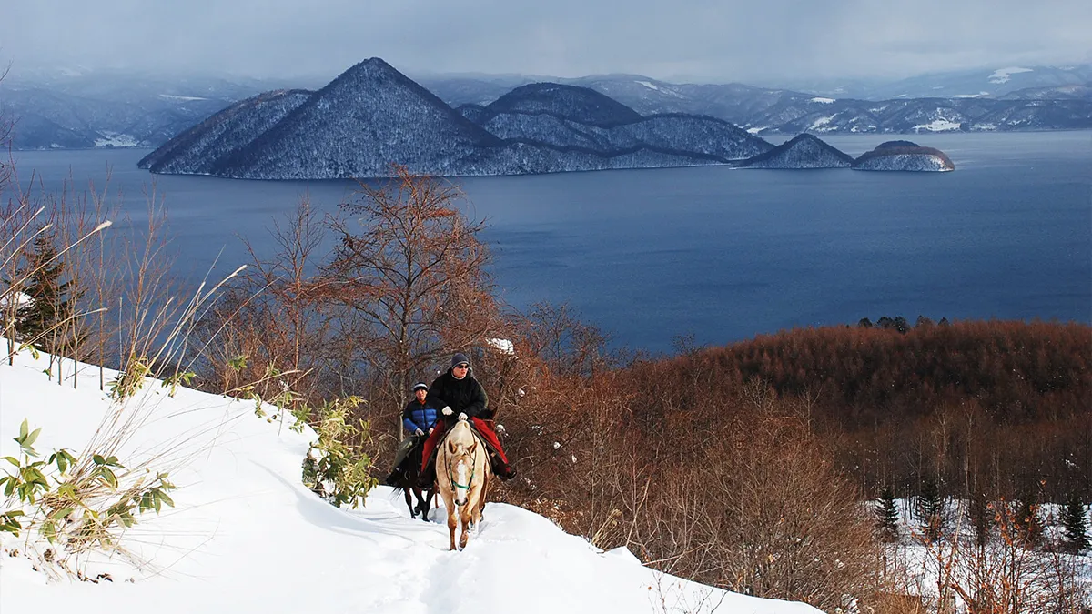 騎馬穿越被珠山與羊蹄山環繞的靜謐山林