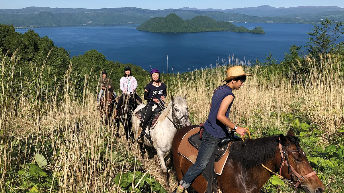 山丘上俯瞰洞爺湖全景