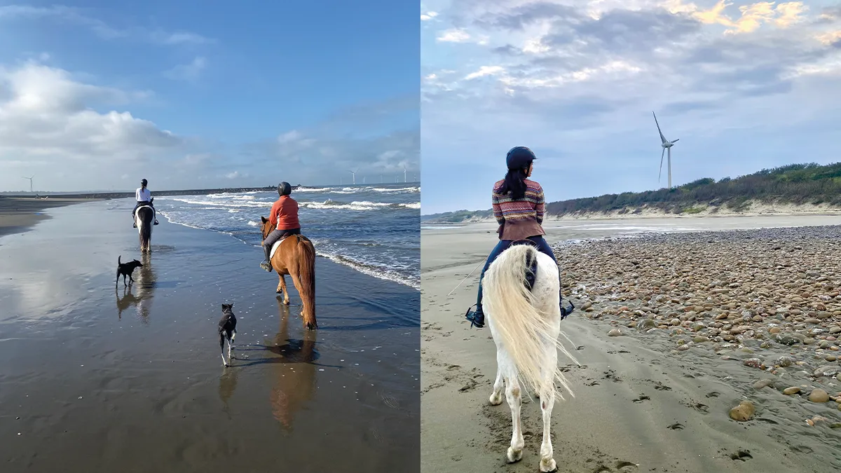 沿著竹南的秘境林道出發，穿越綠蔭小徑後直達海灘