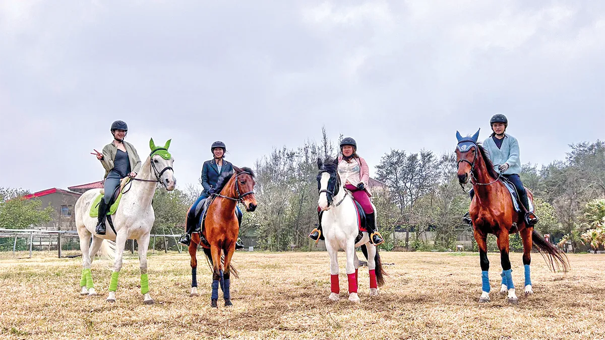 沿途風景所帶來的悸動與驚奇