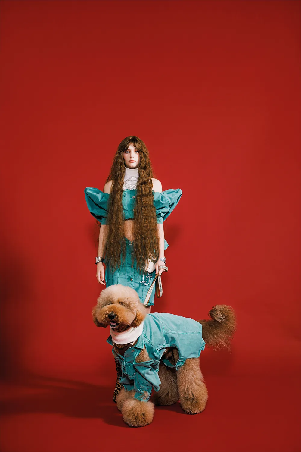 寵物愛心尾巴變成裝飾細節