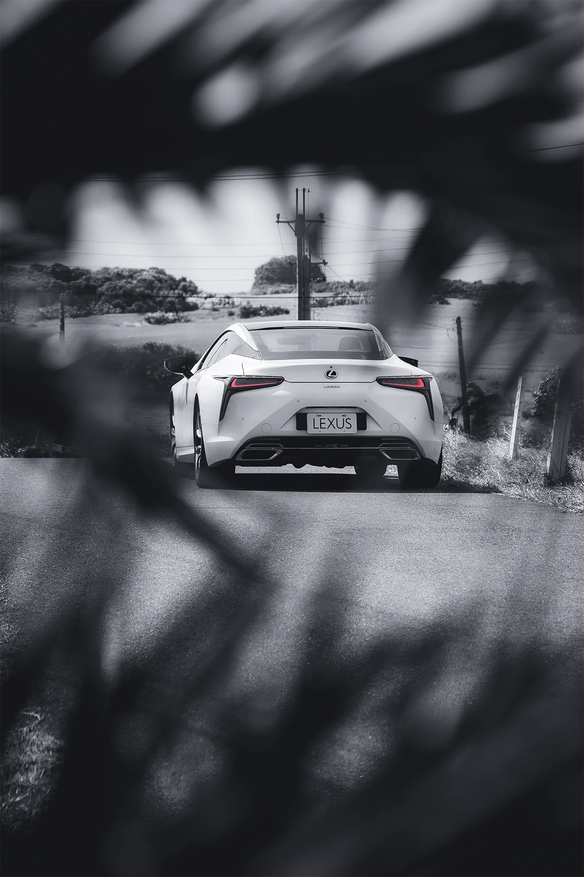 黃鼎學× LC 500 與風競速的荒野獨白 國境之南的藝術顯影