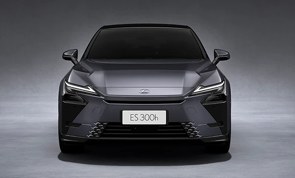 Spindle Body・立體低伏輪廓